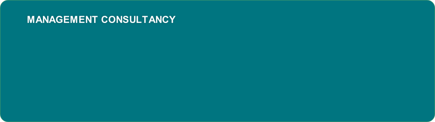   Management&nbsp;Consultancy
